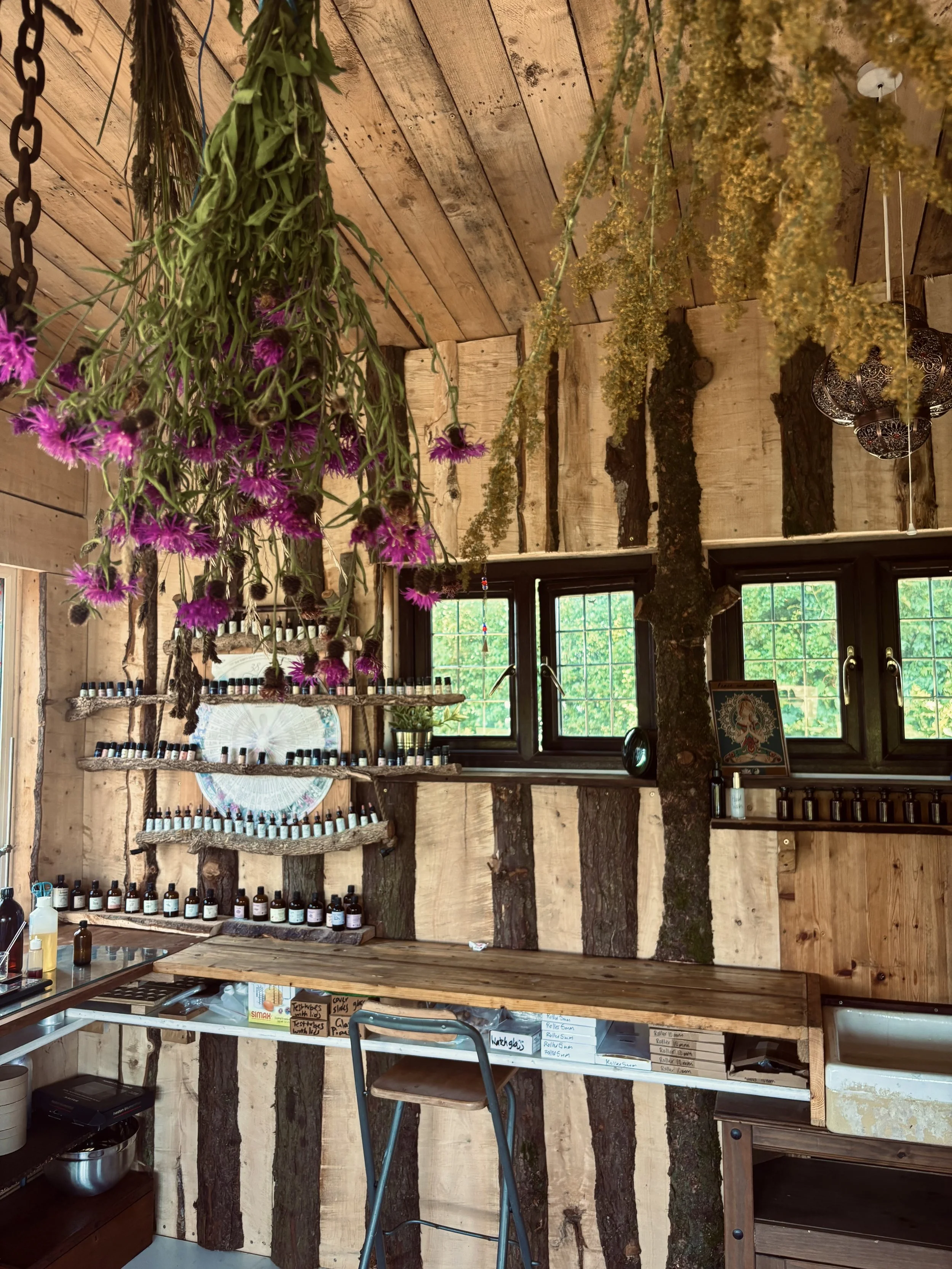 Interior of the 'lab' with wooden walls and ceiling, decorated with hanging dried flowers, lavender, and pink coneflowers. There are multiple small bottles of essential oils on shelves, a window with greenery outside, and a worktable with a chair.