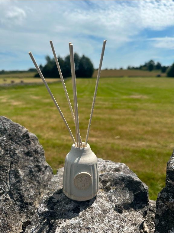 diffuser with sticks.png
