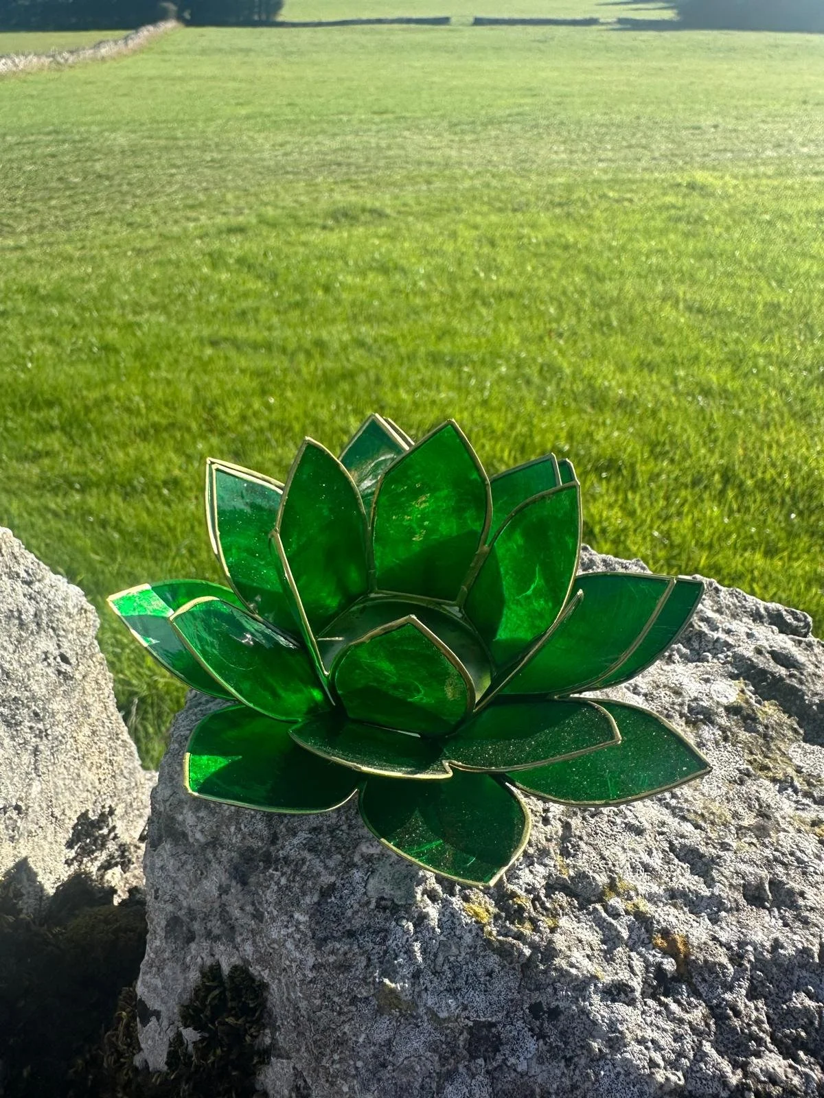 Green heart.jpg