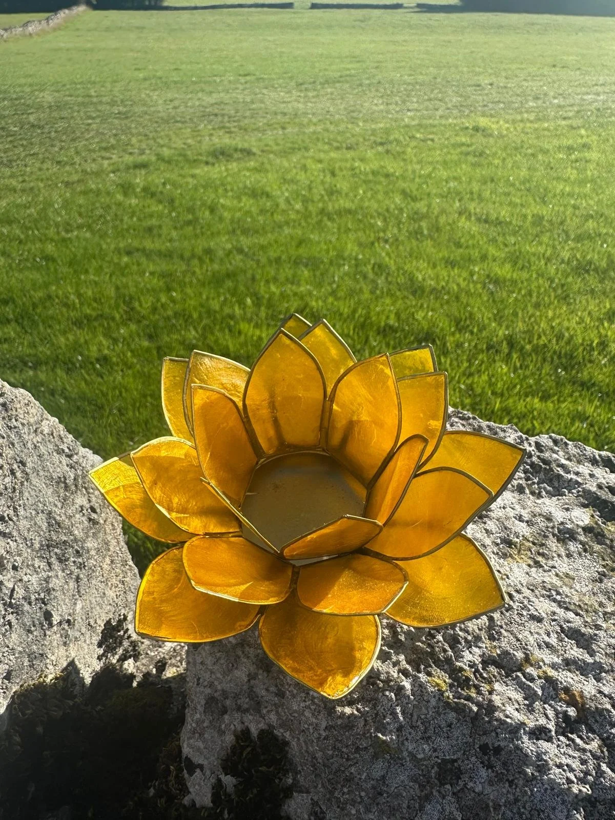 Yellow solar plexus.jpg