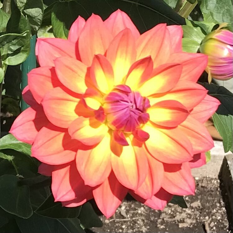 Location — Freeport Farmers Market