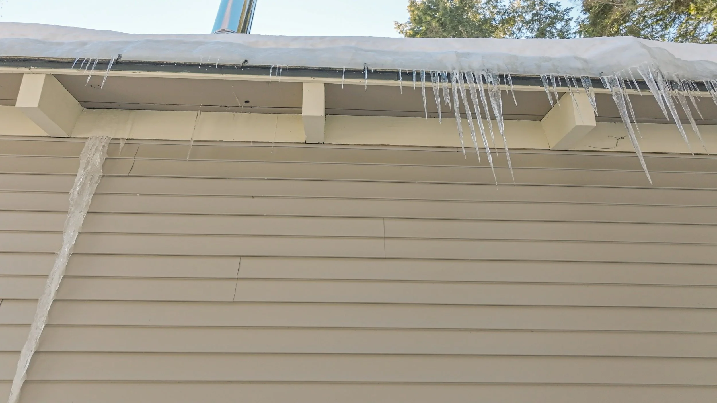 Ice hanging from the roof of a house with beige siding and a white gutter.