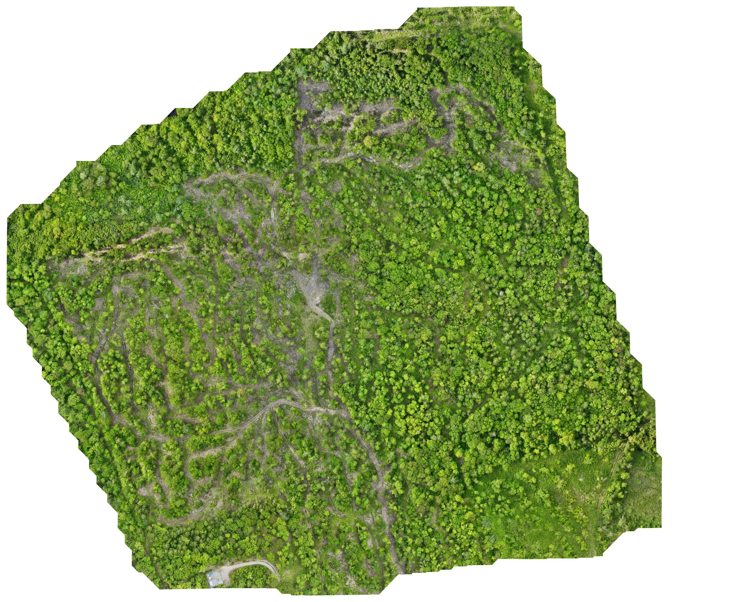 North Wrights Hill Parcel.jpg