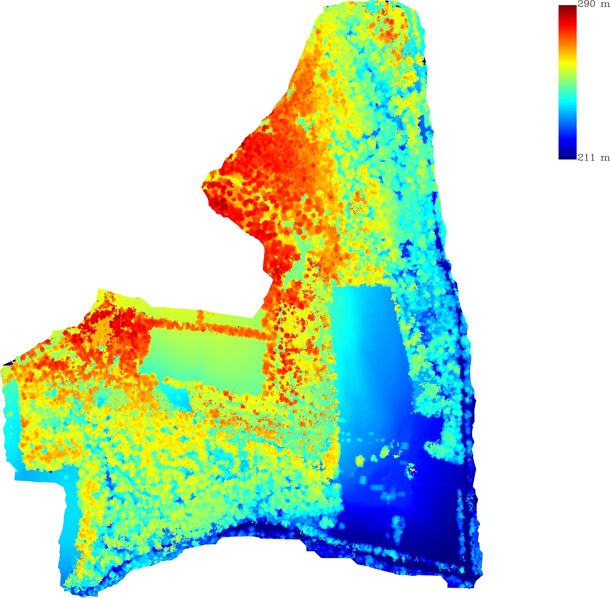 Ruger Mansion Map dsm.jpg
