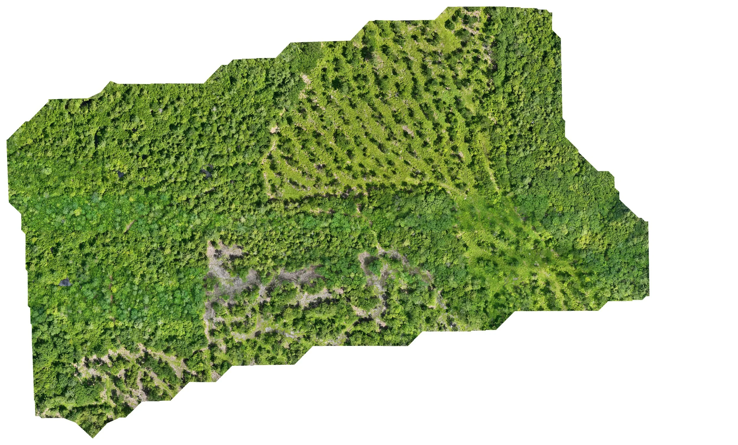 Connecting Trail.jpg