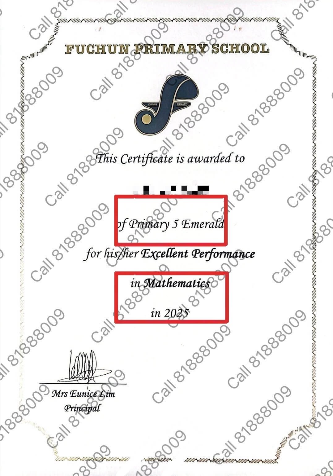 Primary 5 Fuchun Primary School Best in Math Award 2025
