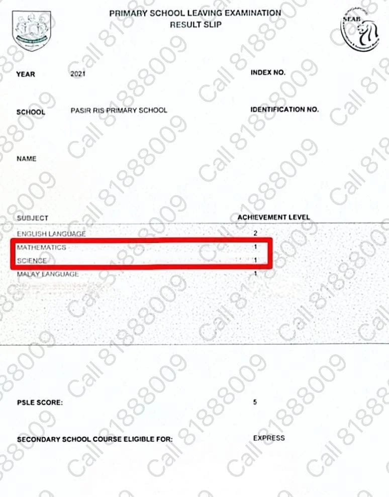 Official Pasir Ris Primary School 2022 PSLE Certificate AL1 Science Grade achieved via F9 to A1 Academy LEAP Answering Technique Framework