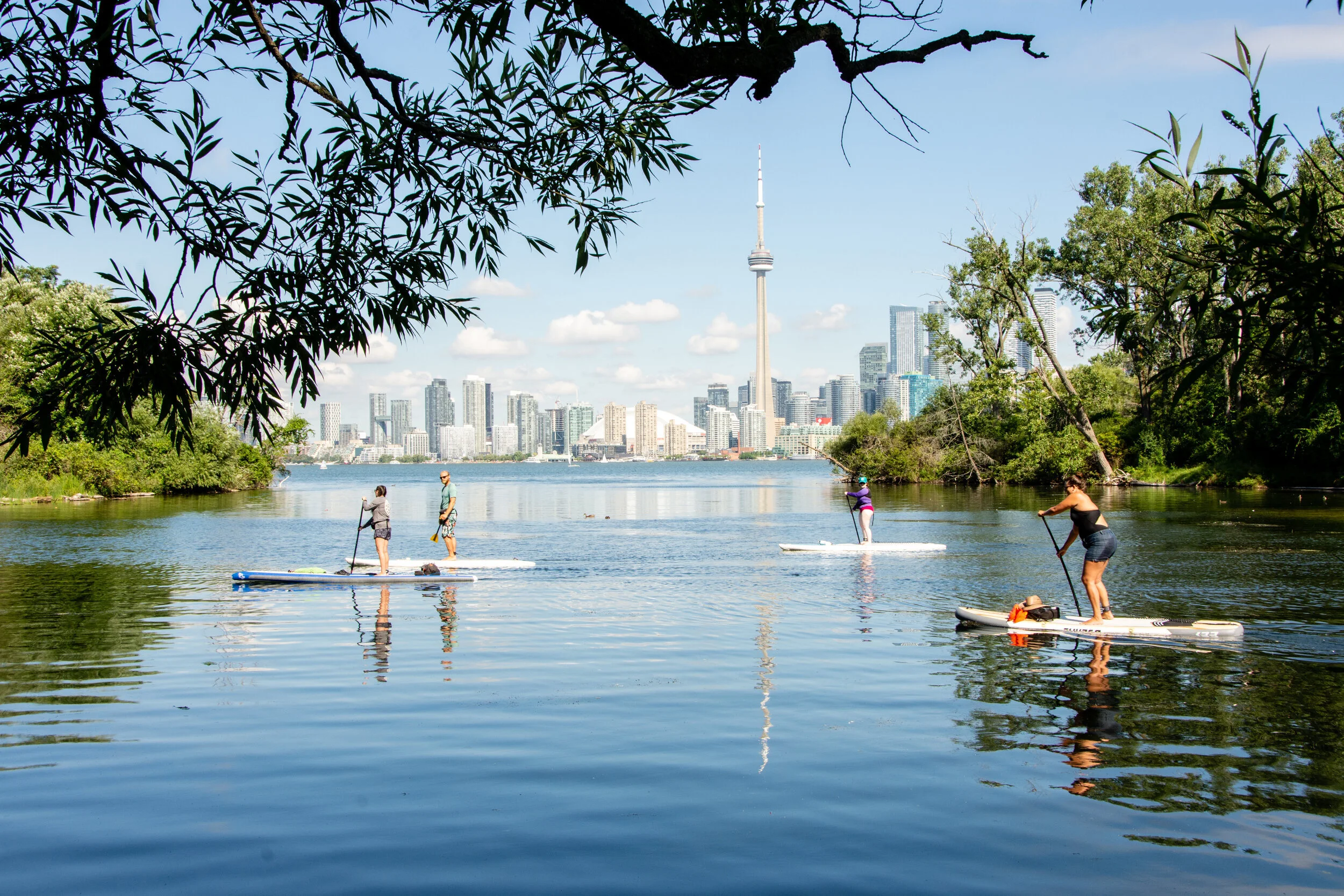 Three stand up paddleboarders paddling along the Toronto waterfront with the CN Tower in the background.