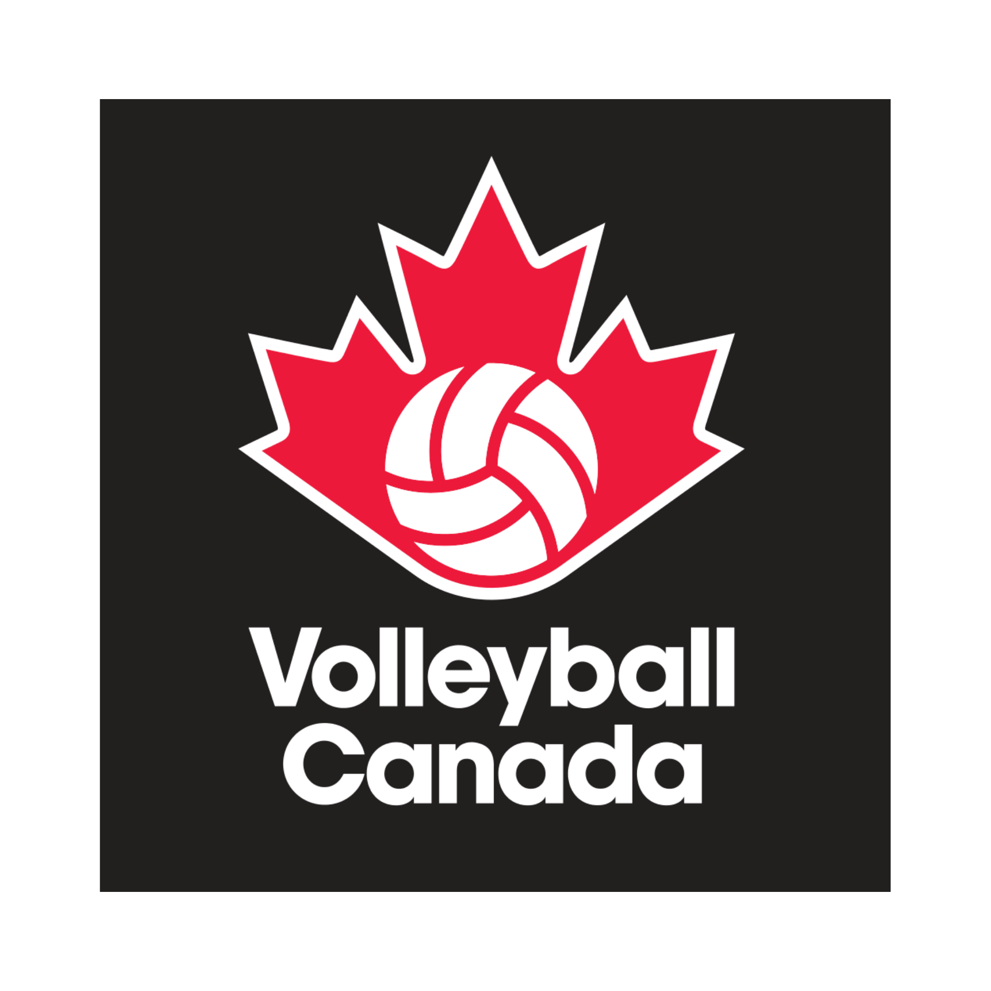 Volleyball Canada Logo