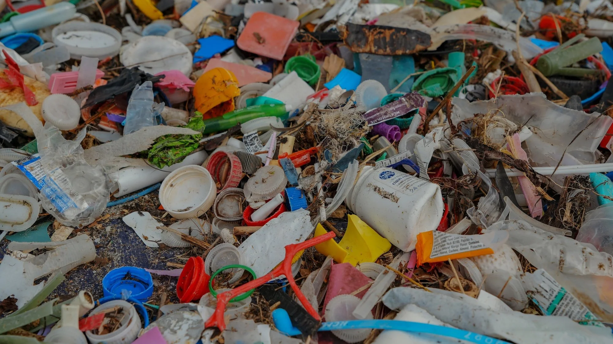 Colourful plastic pieces found at a litter cleanup at Jones Beach in St. Catharines.