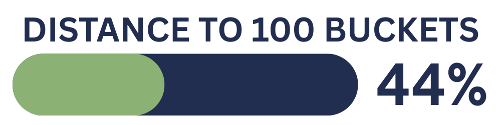 progress bar showing the distance to 100 buckets purchased, currently at 44%