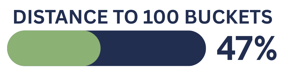 A progress bar indicating 47% distance to 100 buckets.