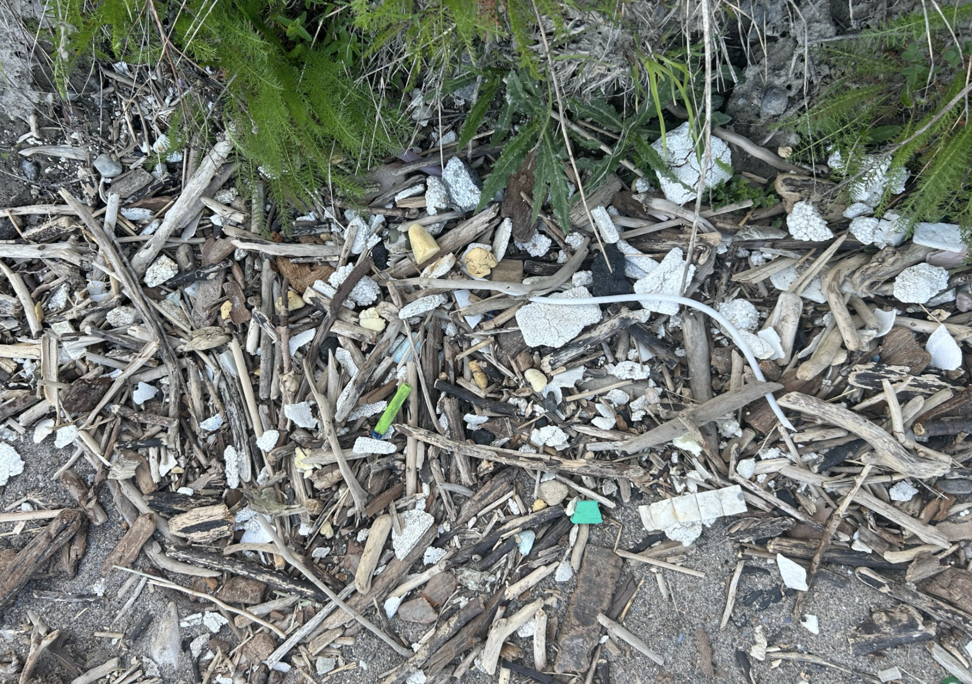 Pieces of foam pollution washed ashore at East Point Park Beach