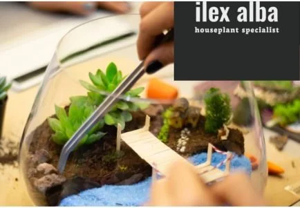 Melting pot: Create a Terrarium
