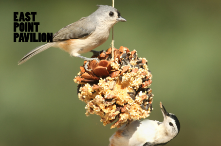 <span class="sqsrte-text-color--black">Be a Garden Bird Hero!</span>