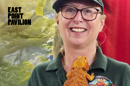 Angie's Curious Creatures