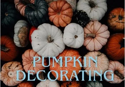 Pumpkin Decorating with Ilex Alba