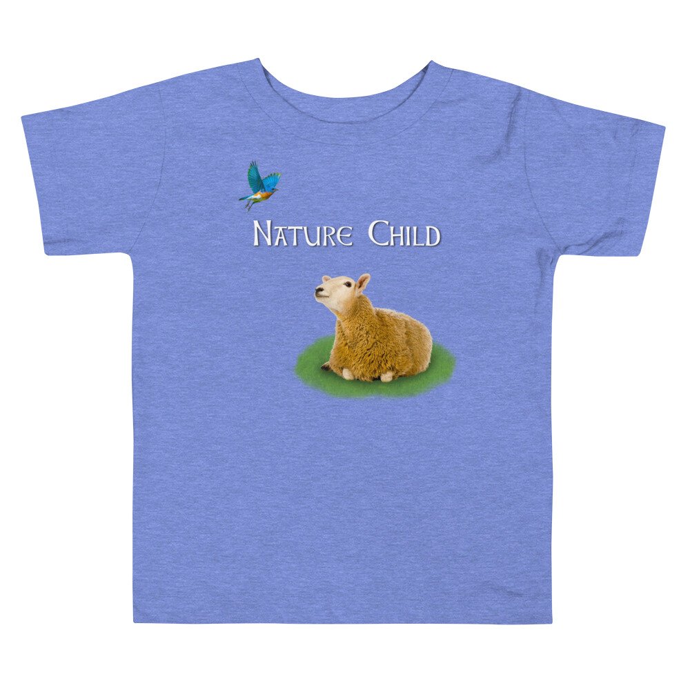 toddler-staple-tee-heather-columbia-blue-front-629a274495bdc.jpg