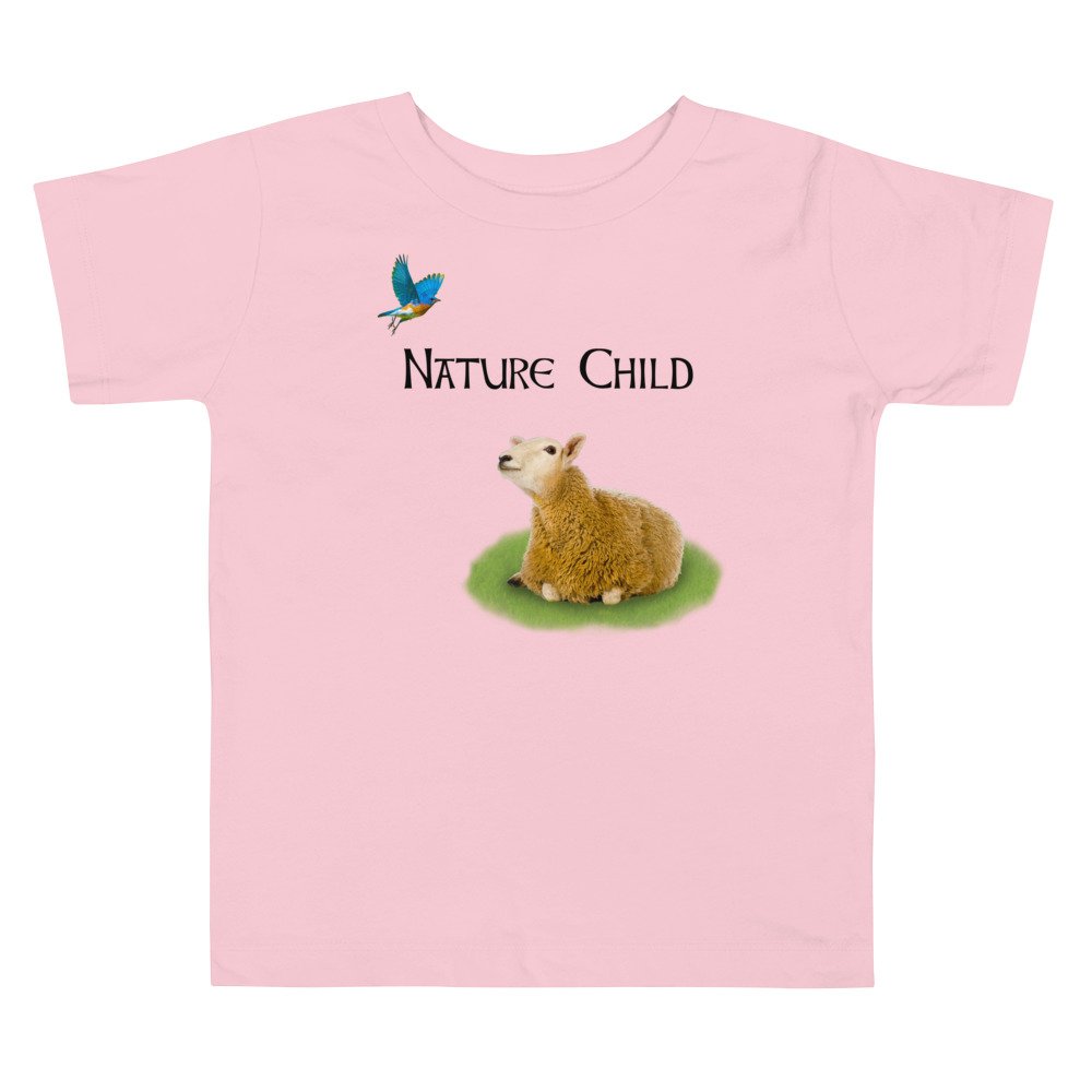 toddler-staple-tee-pink-front-629a2769b39b8.jpg