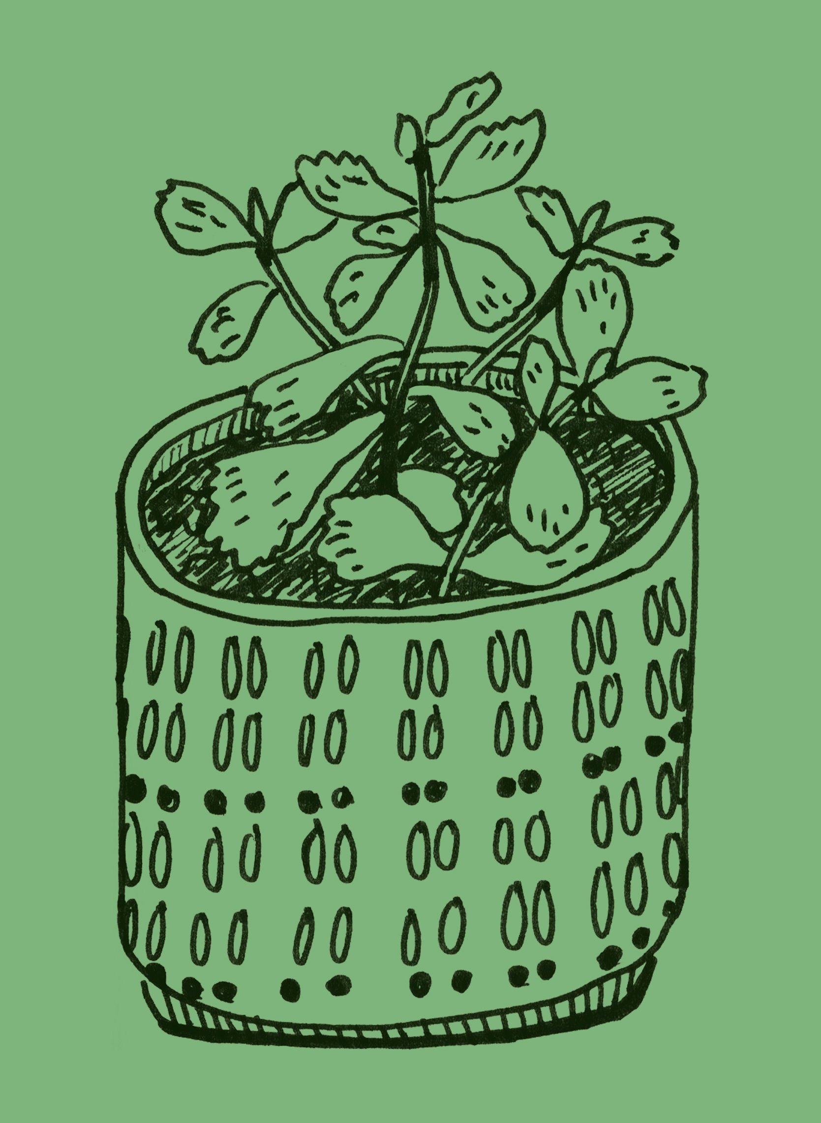 potted plant postcard.jpg