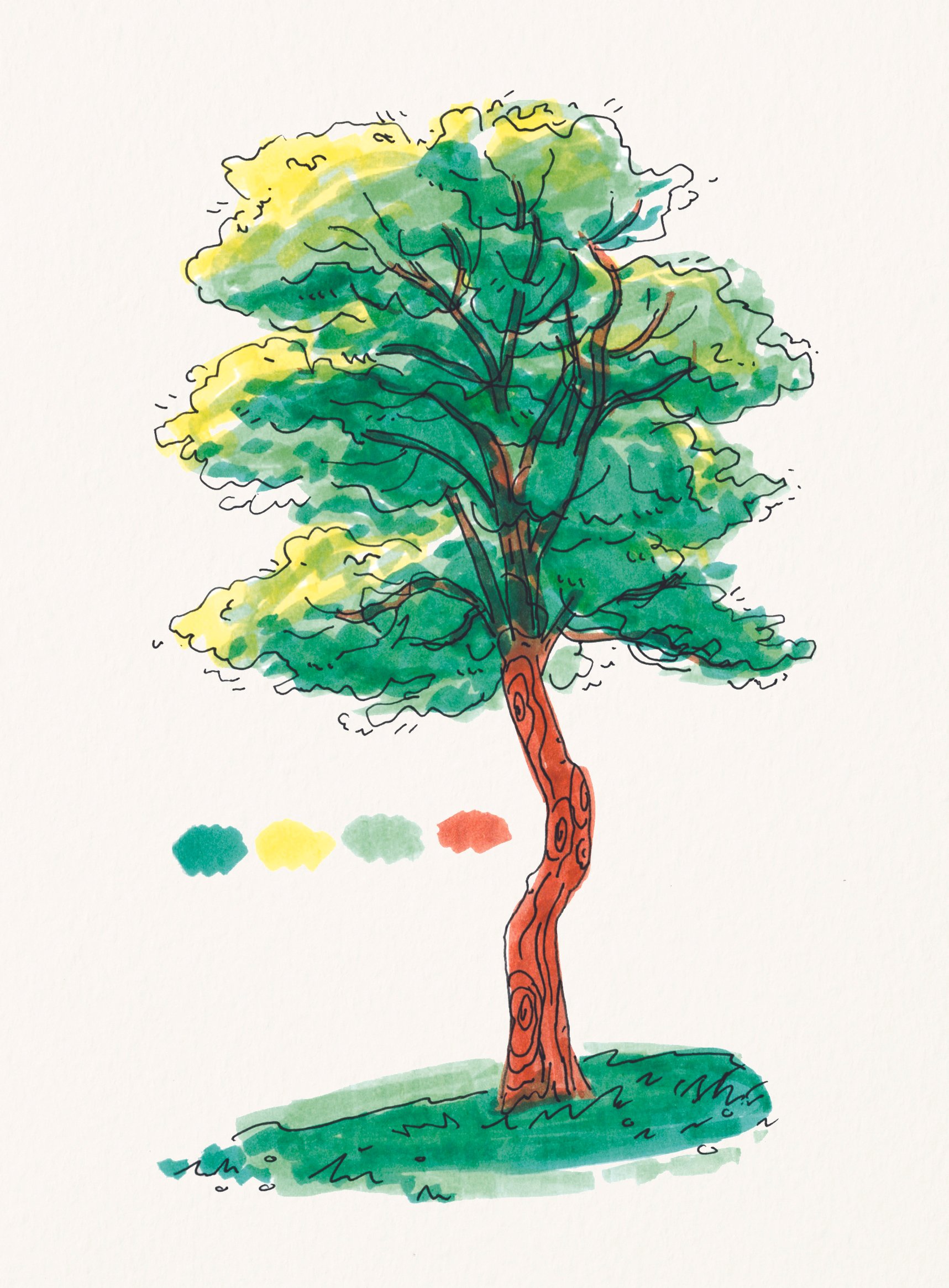 tree postcard.jpg