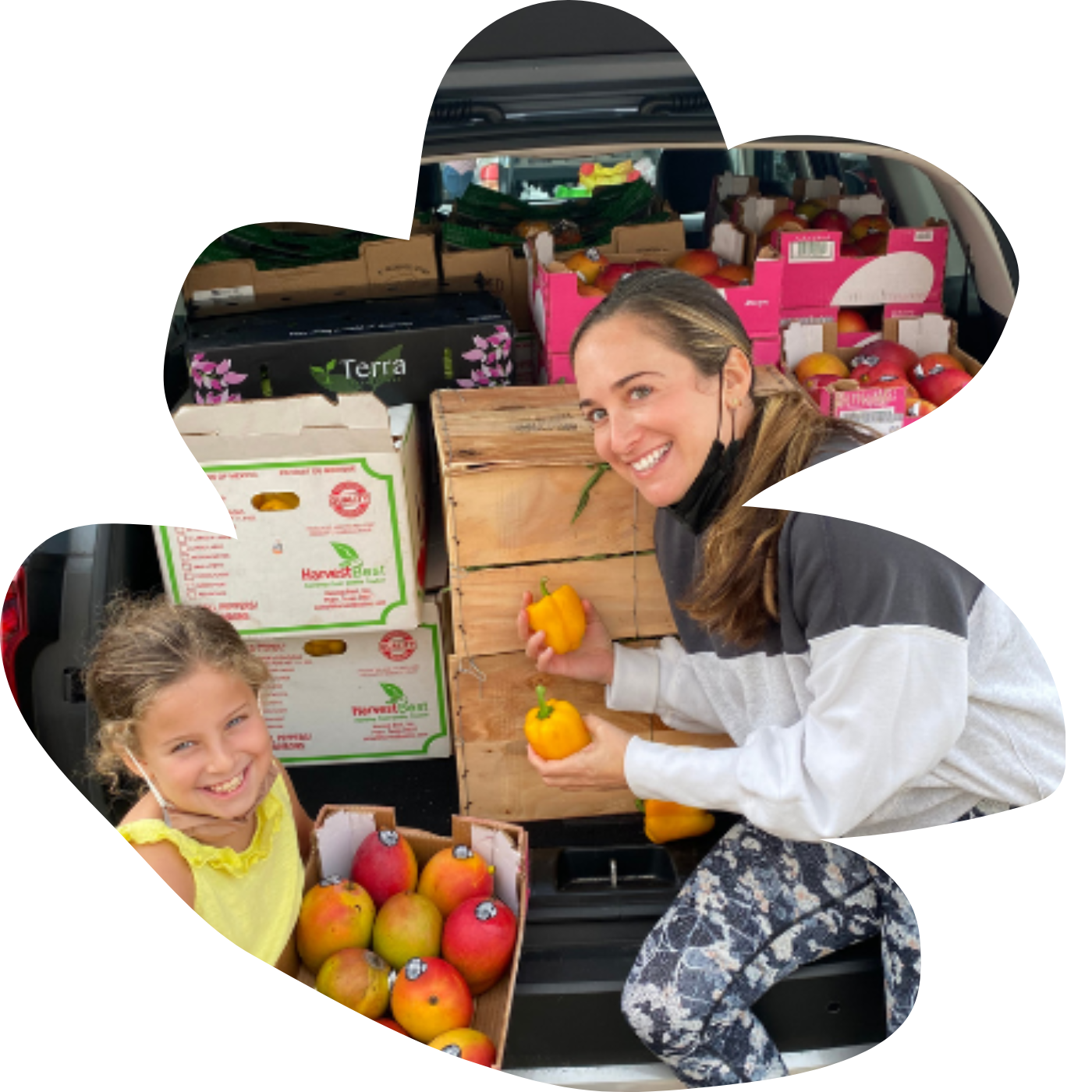 Community Volunteering Grassroots Grocery