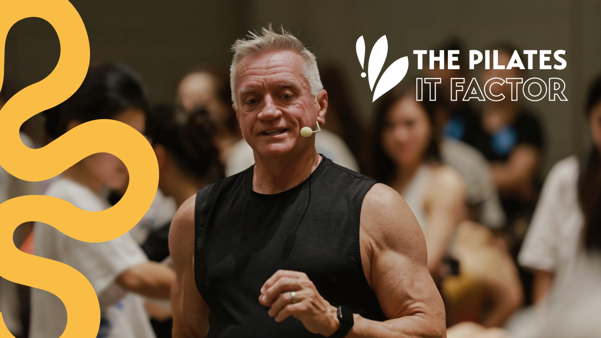 The Pilates IT Factor - Complete Video Course