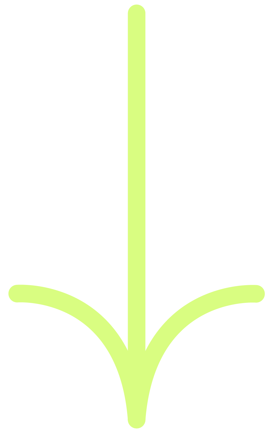A simple line drawing of a sprouting plant with three leaves, with the central stem shaded in light green.