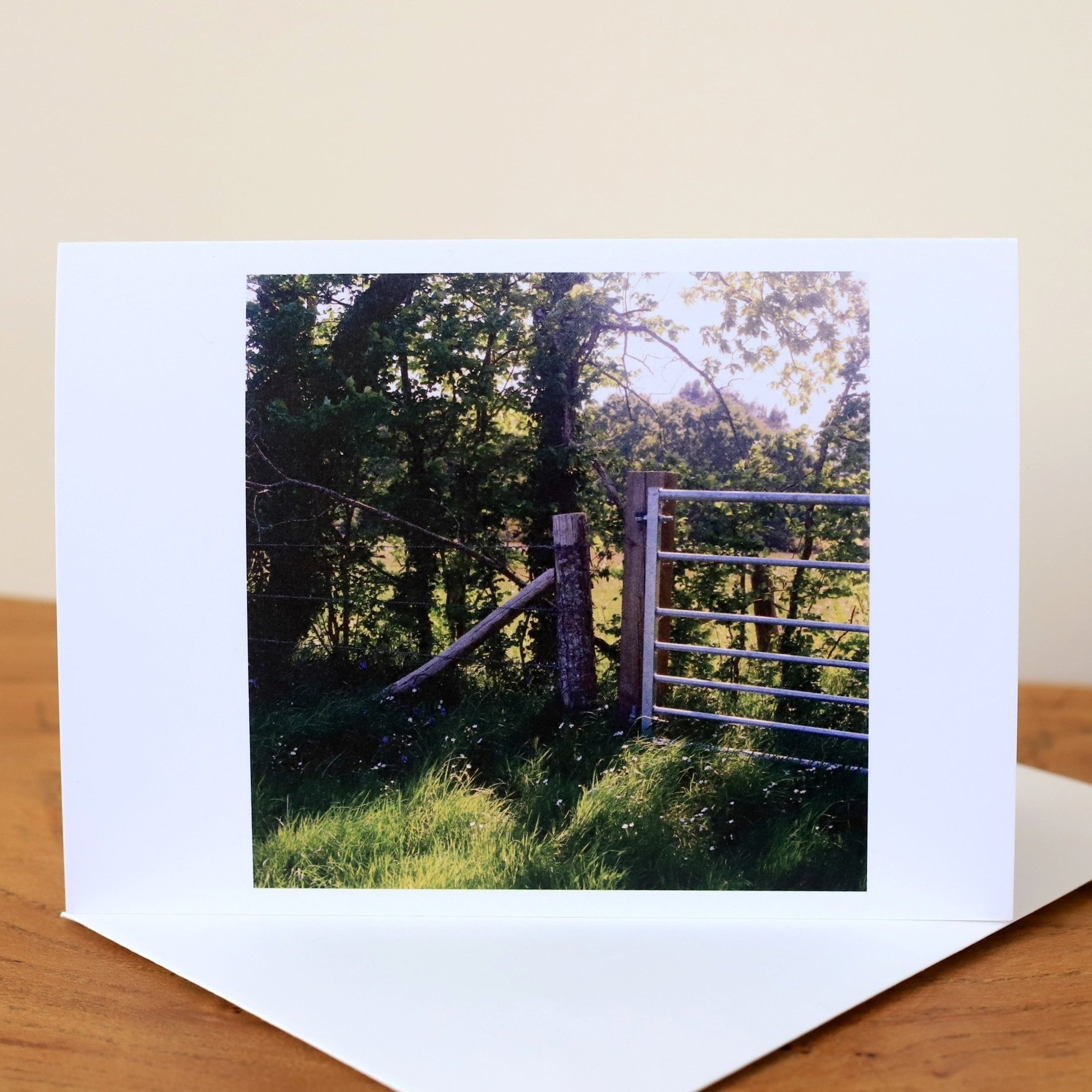 gates.light.jpg