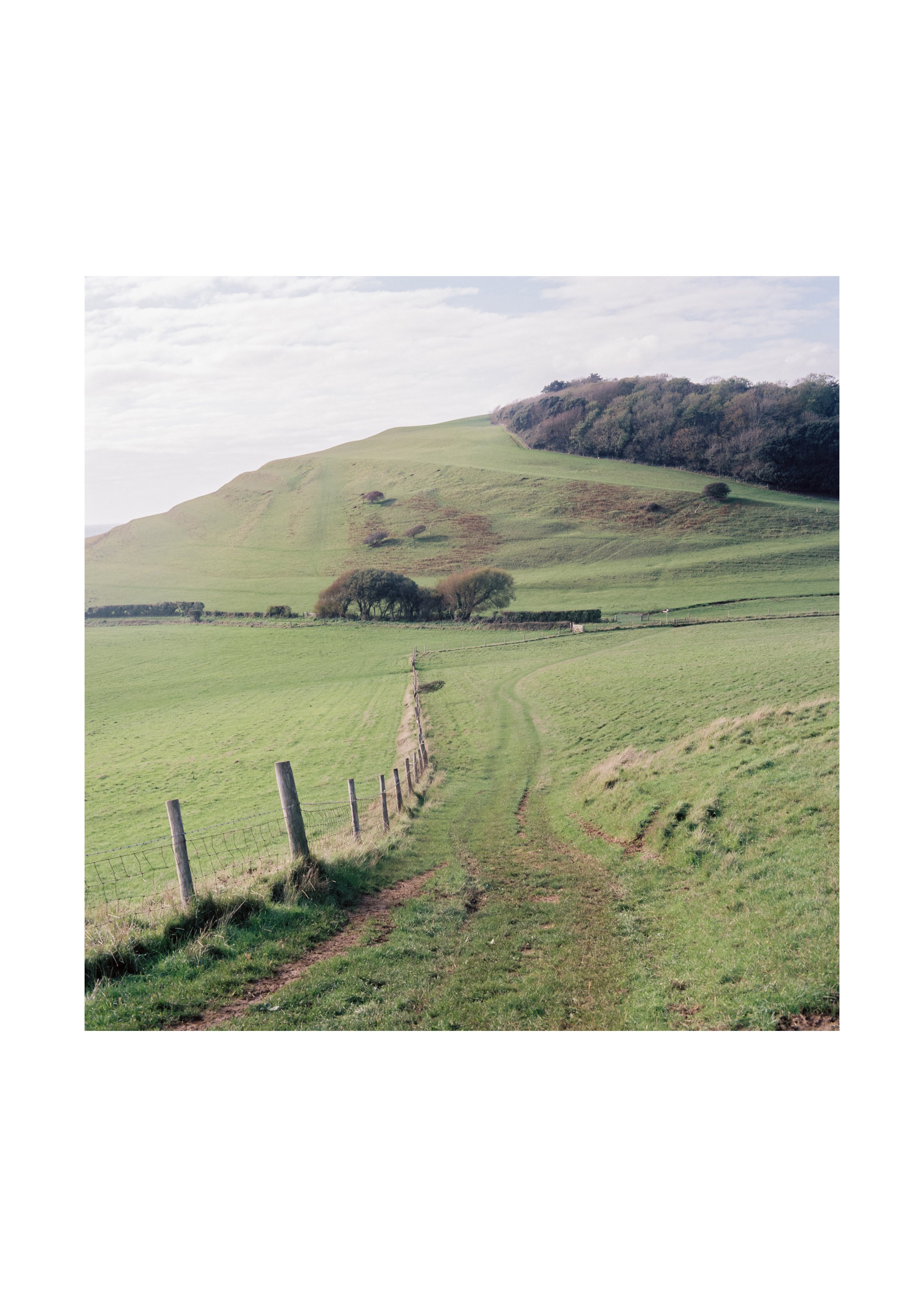 a4.dorset.jpg