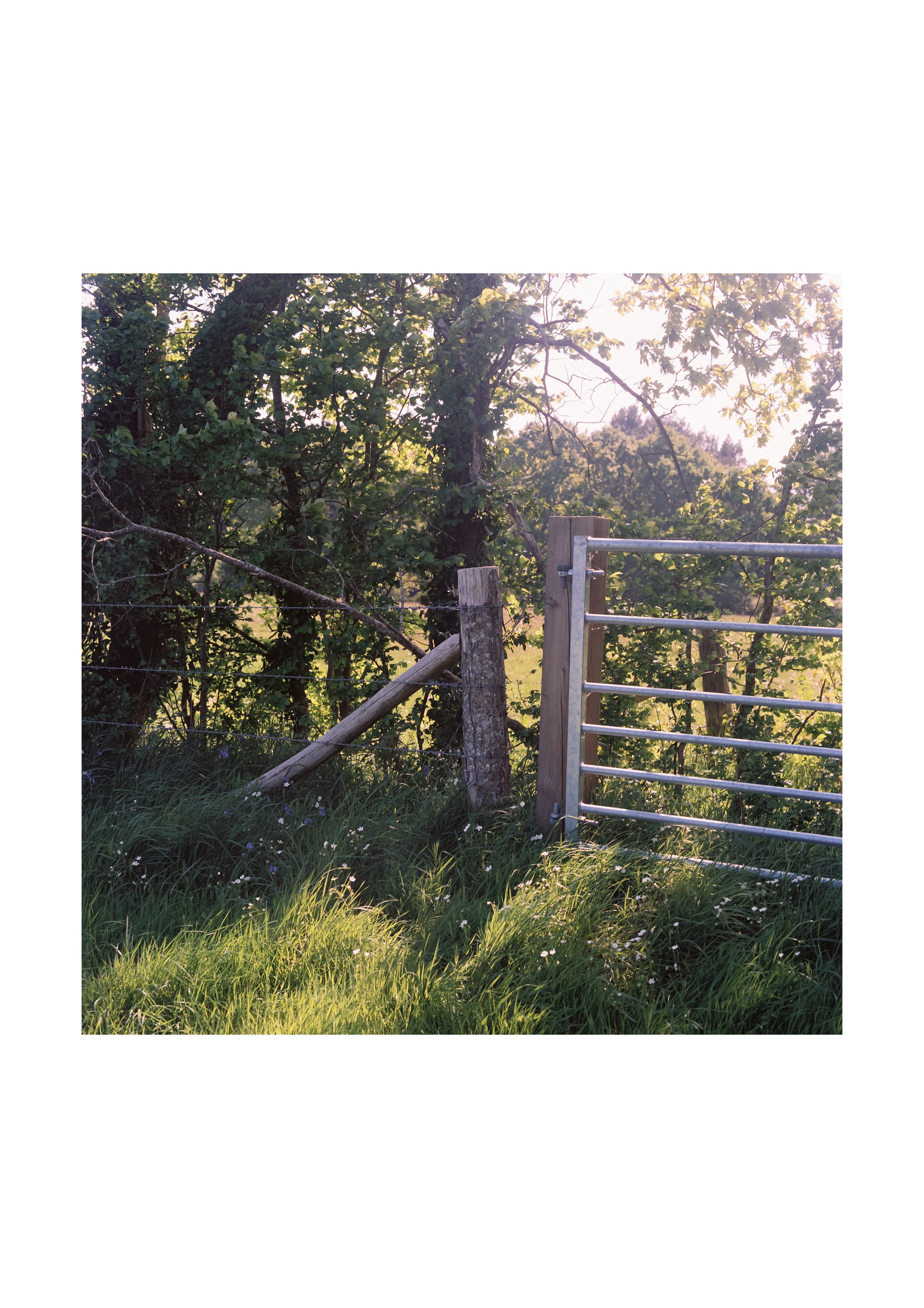 a4.gate.jpg