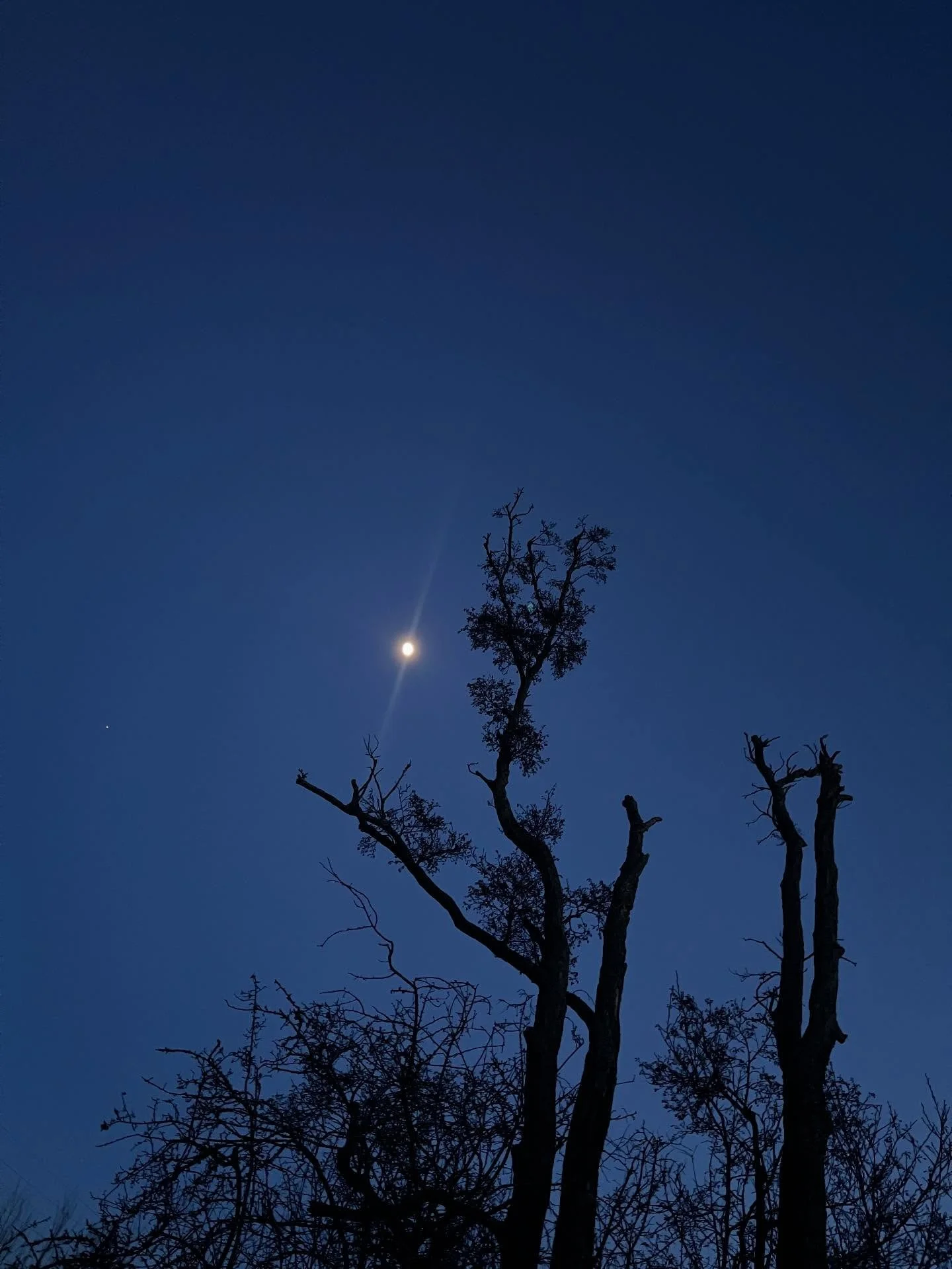 7 Moons, taken from my short walks this year &bull; #walkingthelandscape 

#ejdstudio 
#moonwalks 
#englishlandscape 
#landscapephotography