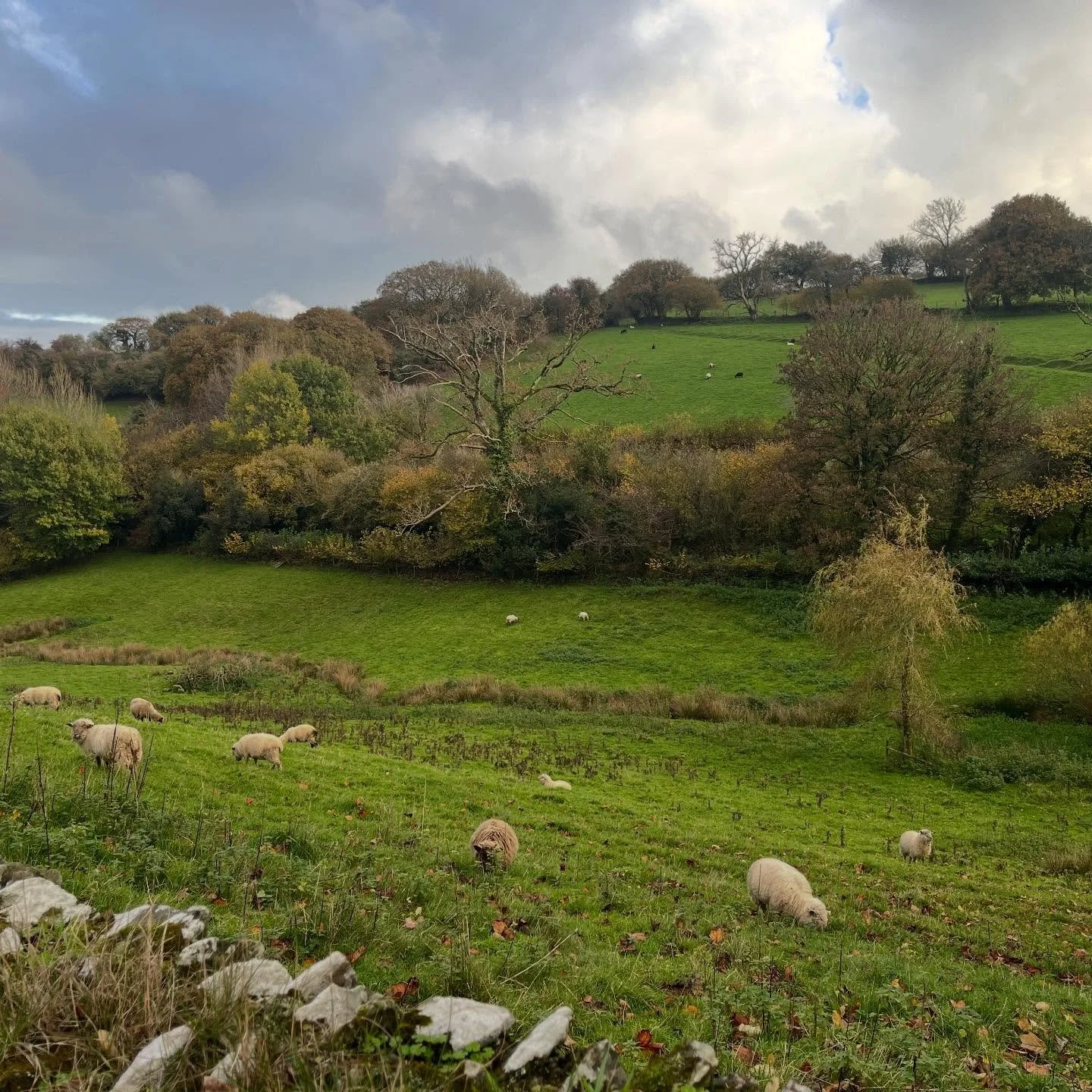 Rolling hills &amp; rain clouds &bull; #walkingthelandscape 

#ejdstudio 
#devon 
#landscapephotography
