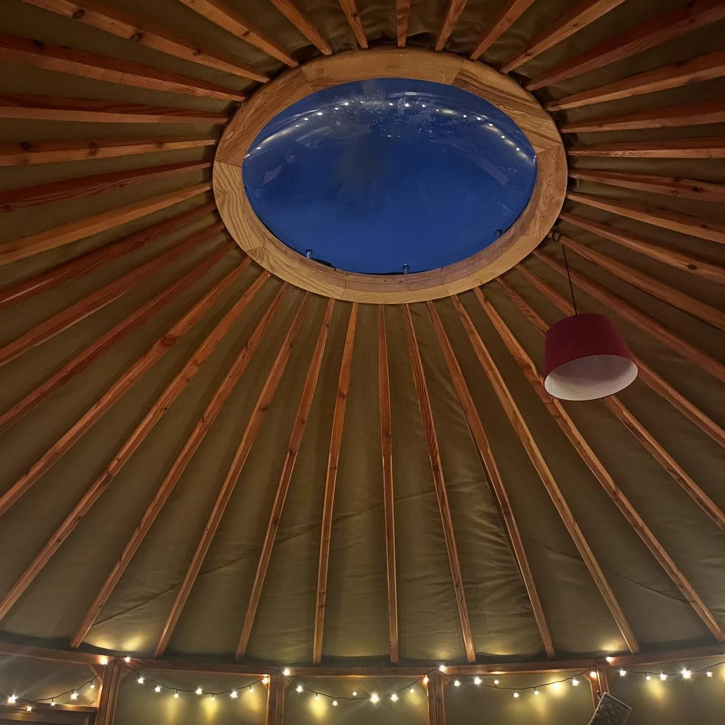 Yurts are beautiful places to stay ~ I&rsquo;m back from a lovely few days in deepest Devon ~ off-grid with the permaculture community, Landmatters.

Six months ago on the eve of Summer I stayed in a yurt in Somerset, so it felt extra special to see 