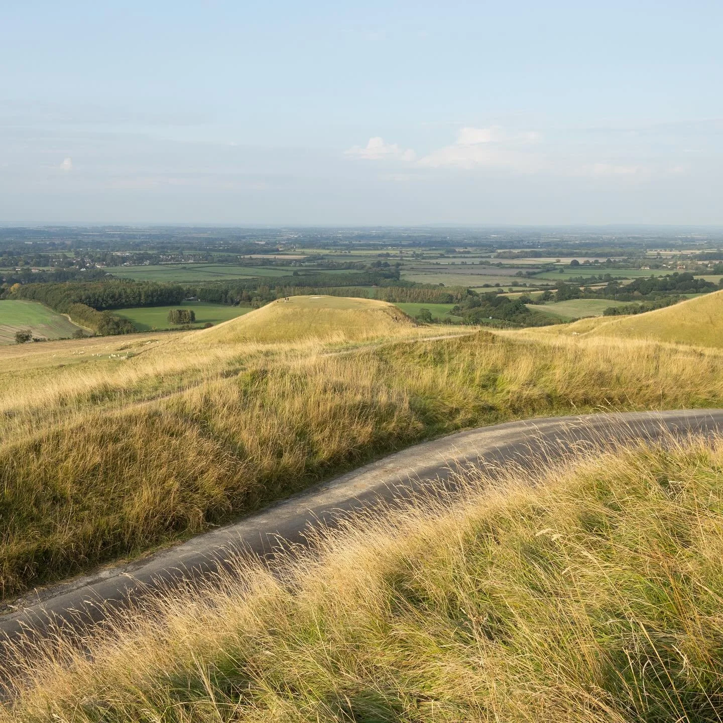 Golden, rolling hills of Uffington. 

#ejdstudio
#englishlandscape
#uffingtonwhitehorse 
#walkingthelandscape 
#landscapephotography