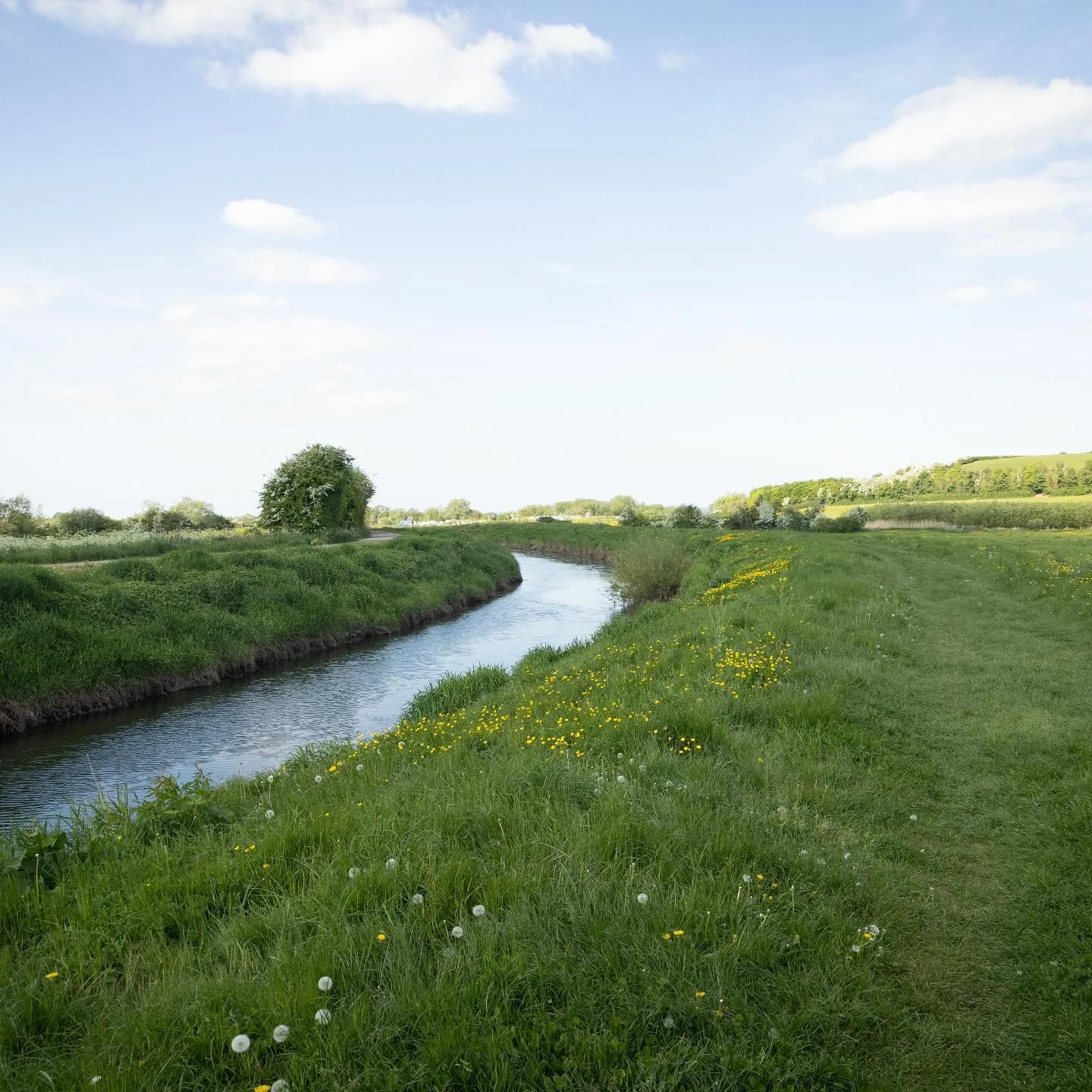 The River Tone, Somerset. 

A wonderful walk exploring the fields behind @coatesenglishwillow this past May. 

#ejdstudio 
#somerset
#englishlandscape 
#walkingthelandscape
