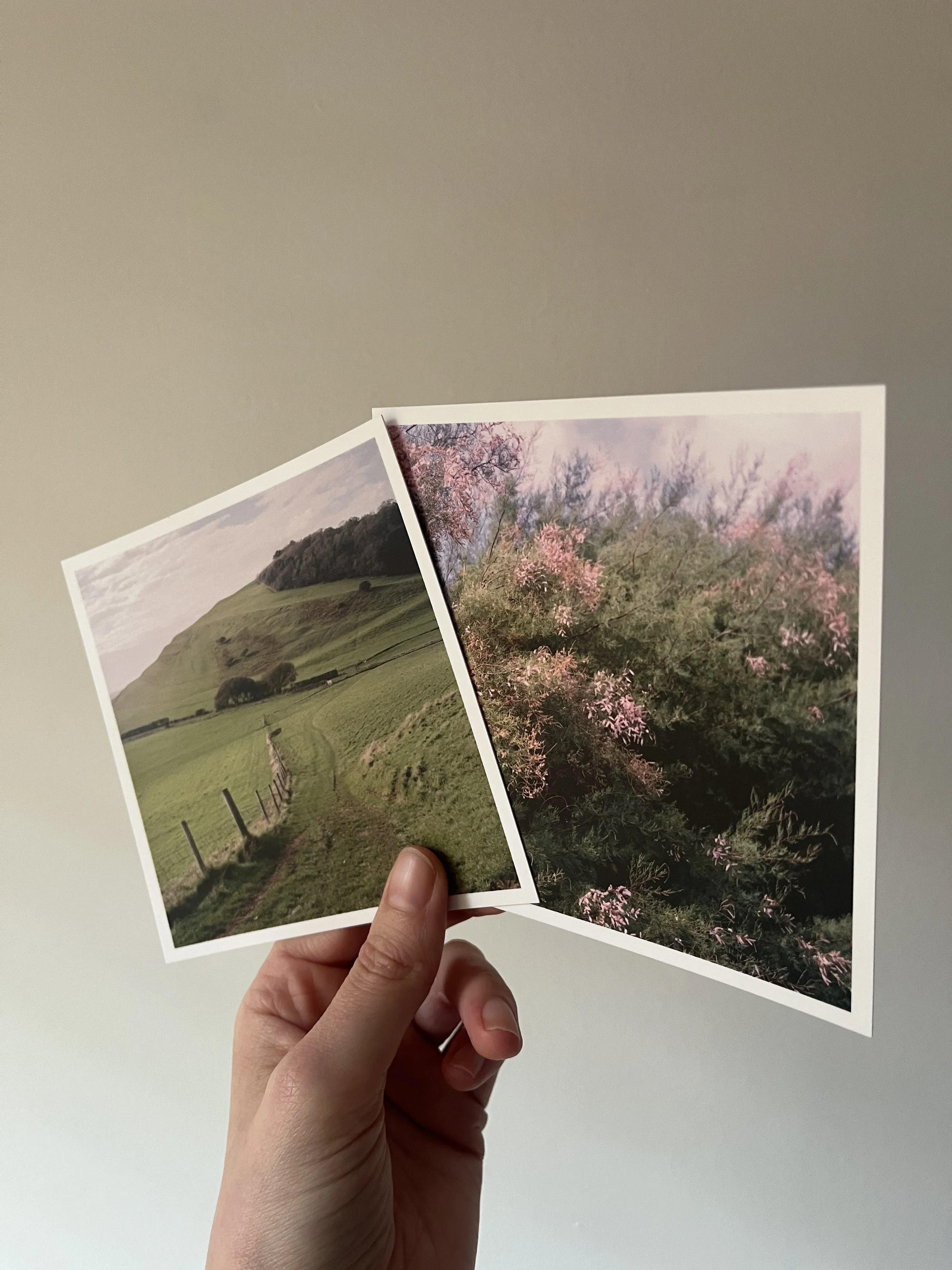 Exhibiting in France