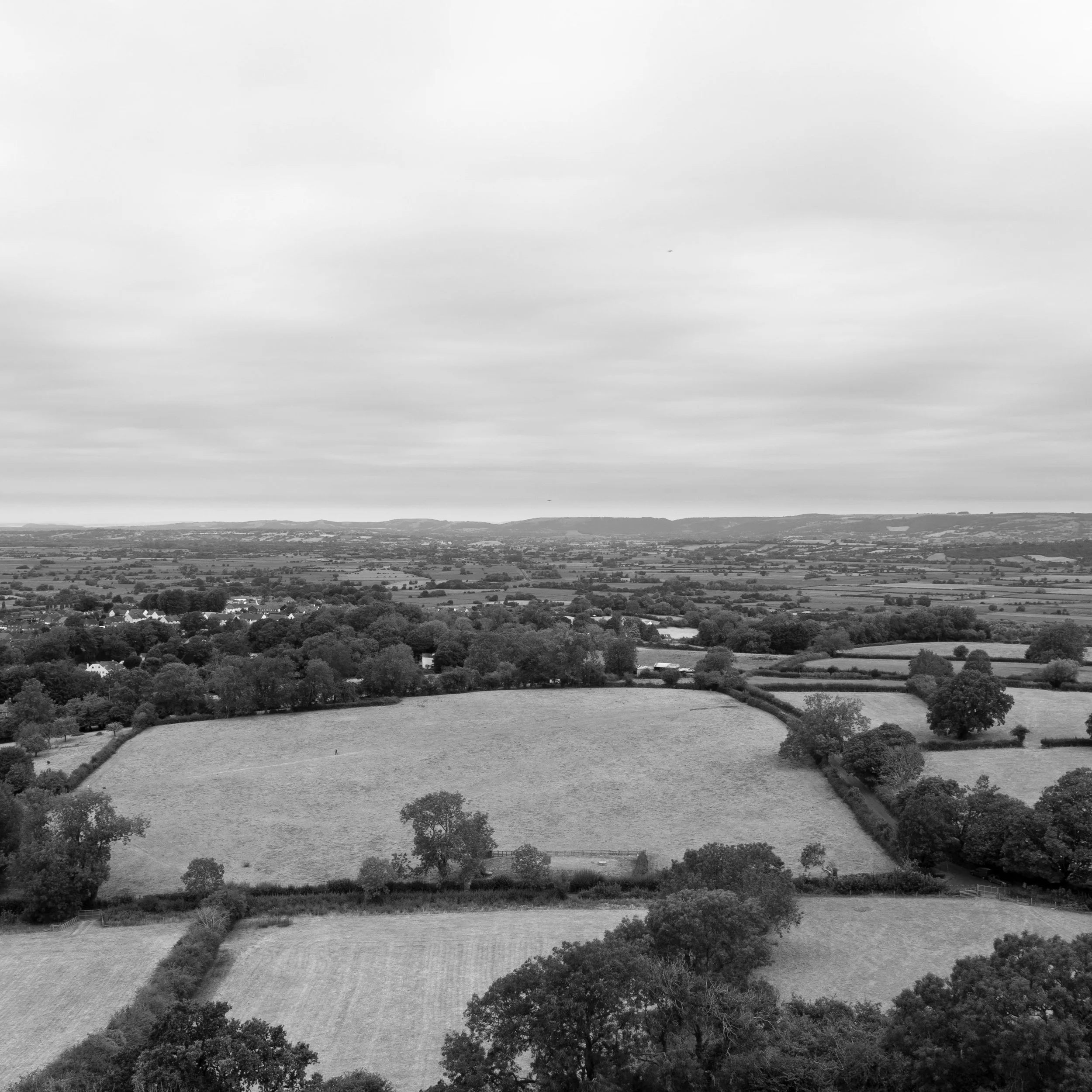 tor+view.jpg