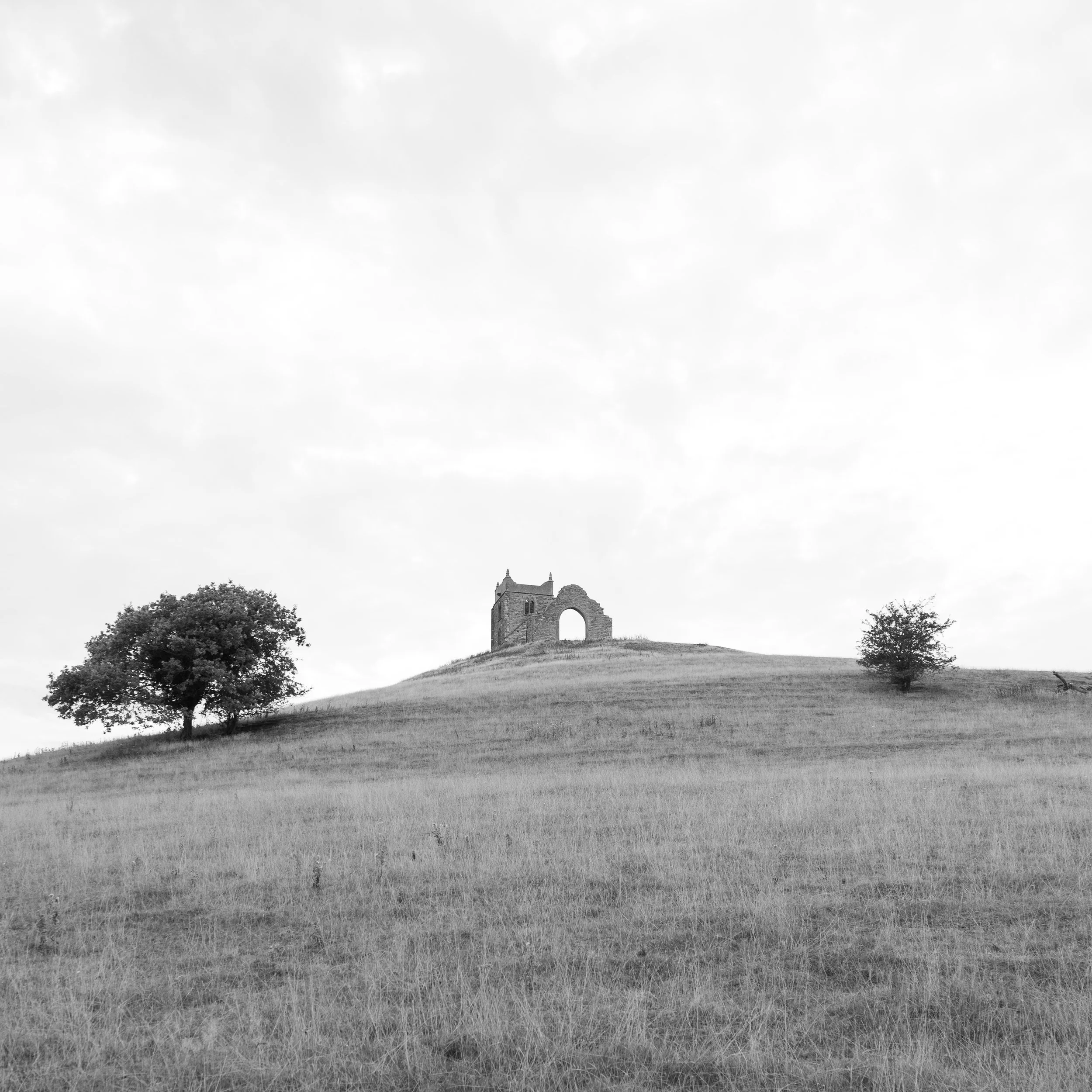 burrow+mump.jpg