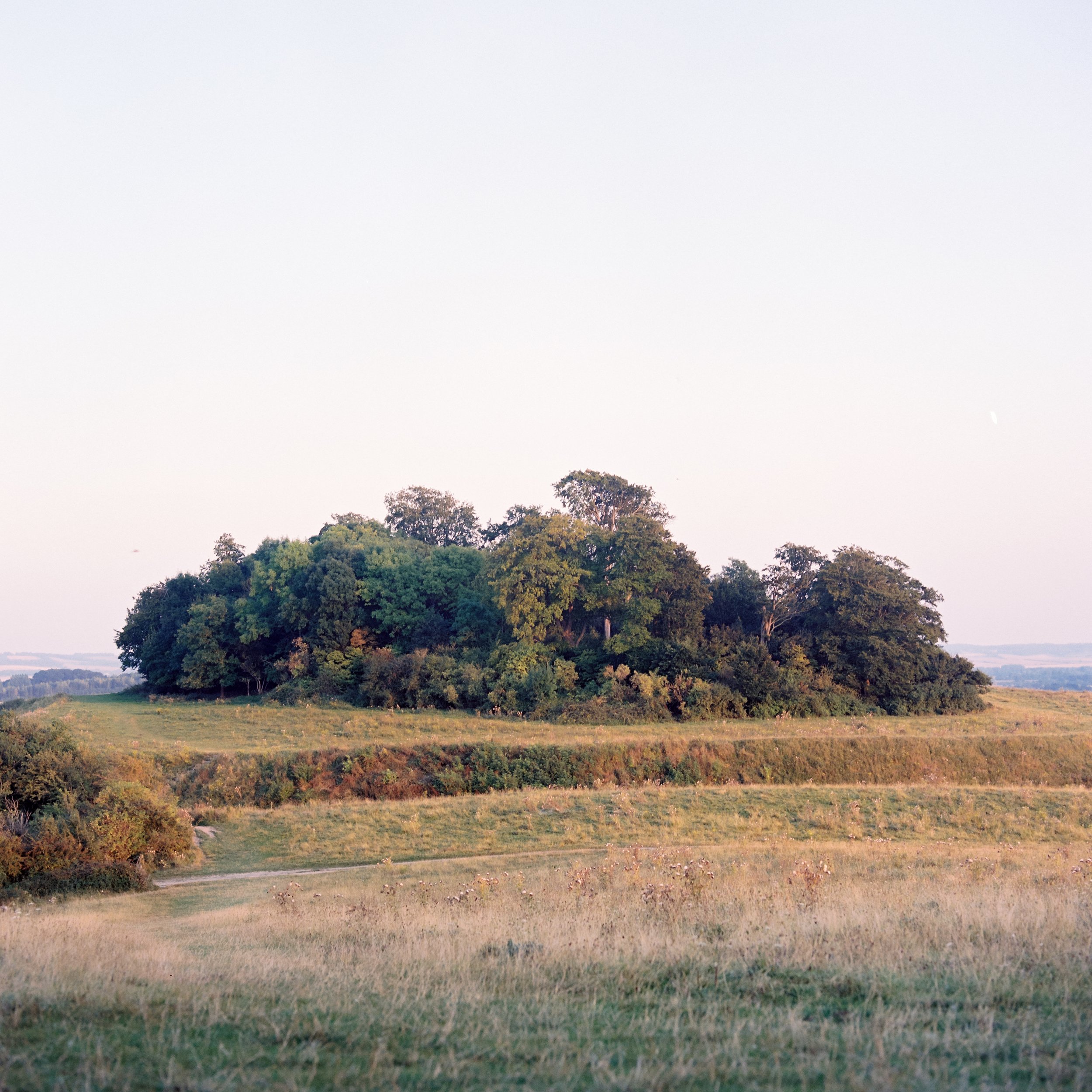 wittingam (1).jpg