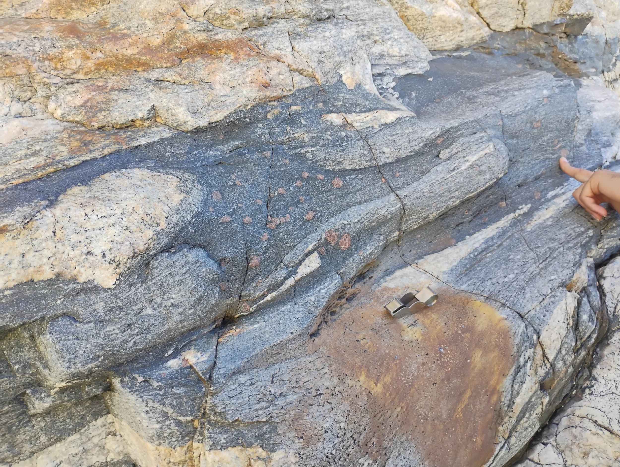 Metamorphic rocks in the Catalina Mountains