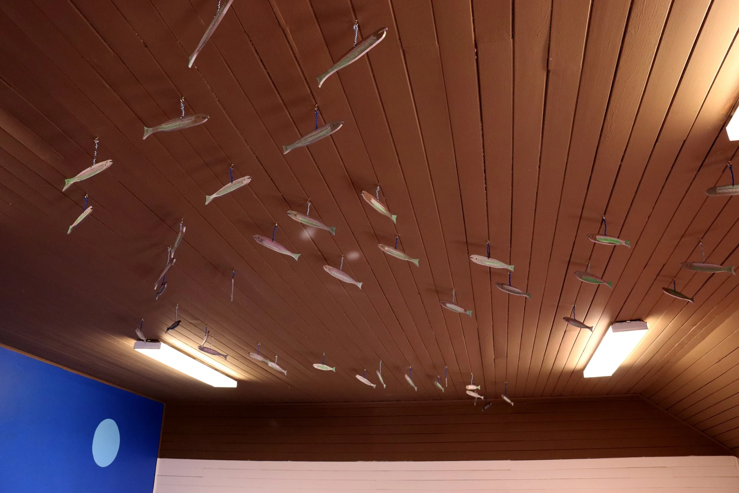 CEED_CeilingwithSalmon_01.jpg