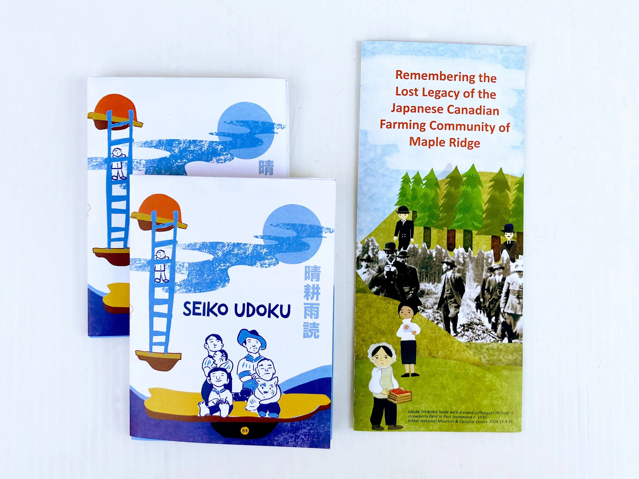 Seikoudoku_BookletsandPrints.jpg