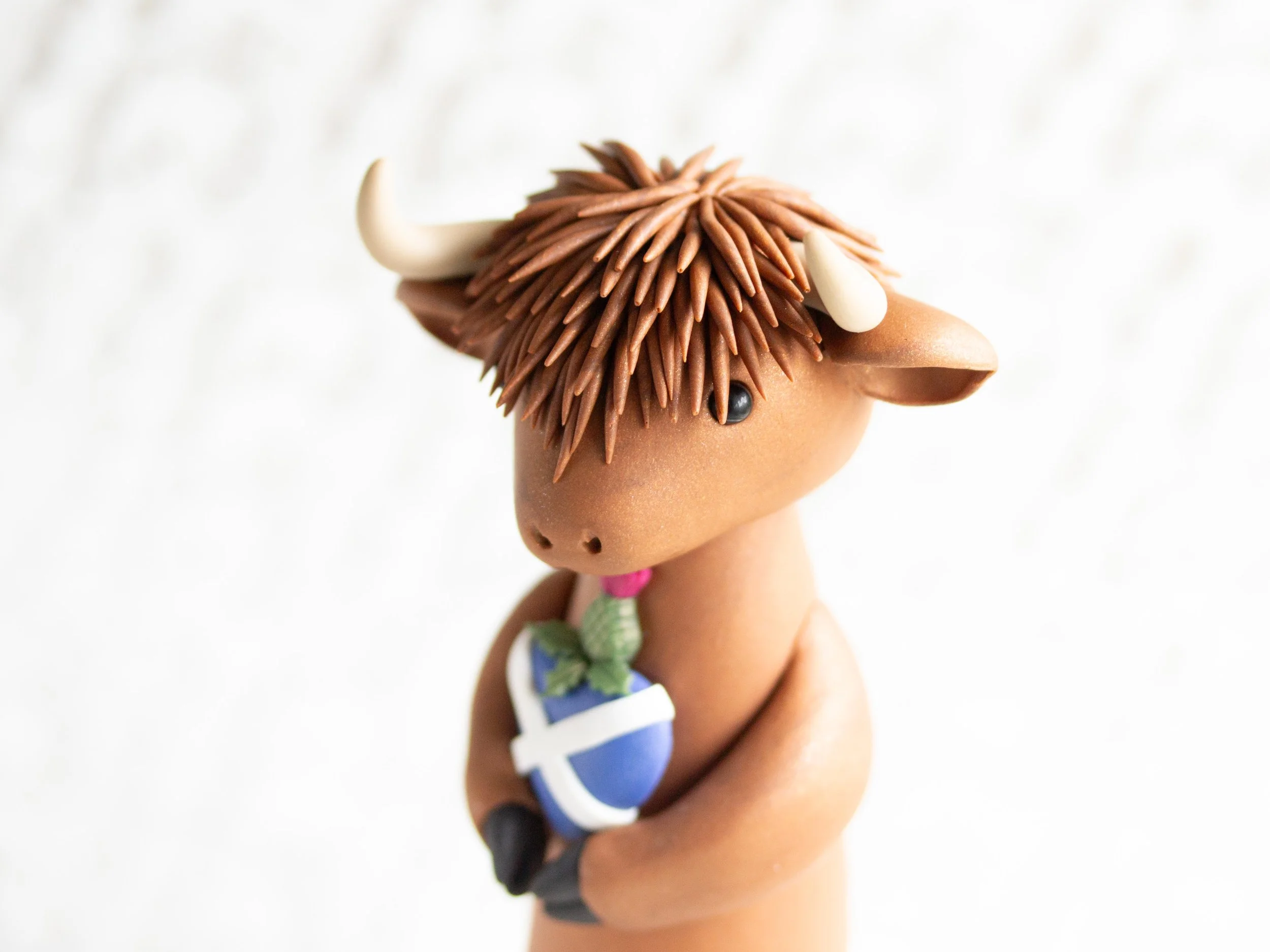 HighlandCow-2.jpg
