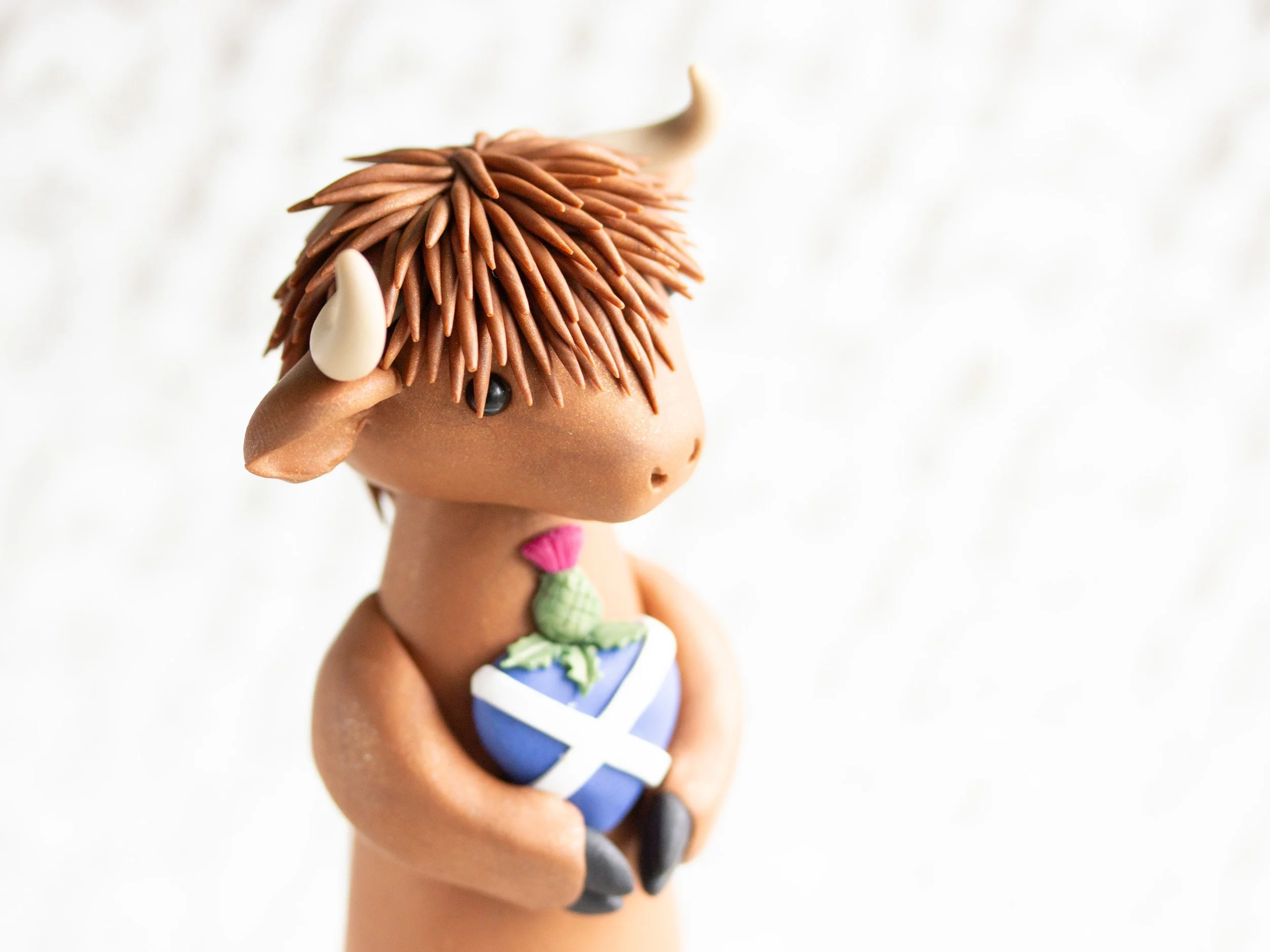 HighlandCow-3.jpg