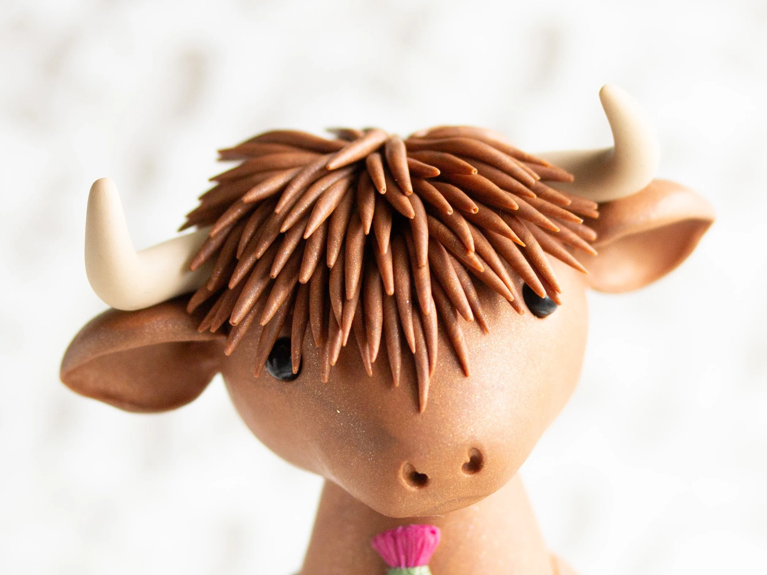 HighlandCow-5.jpg