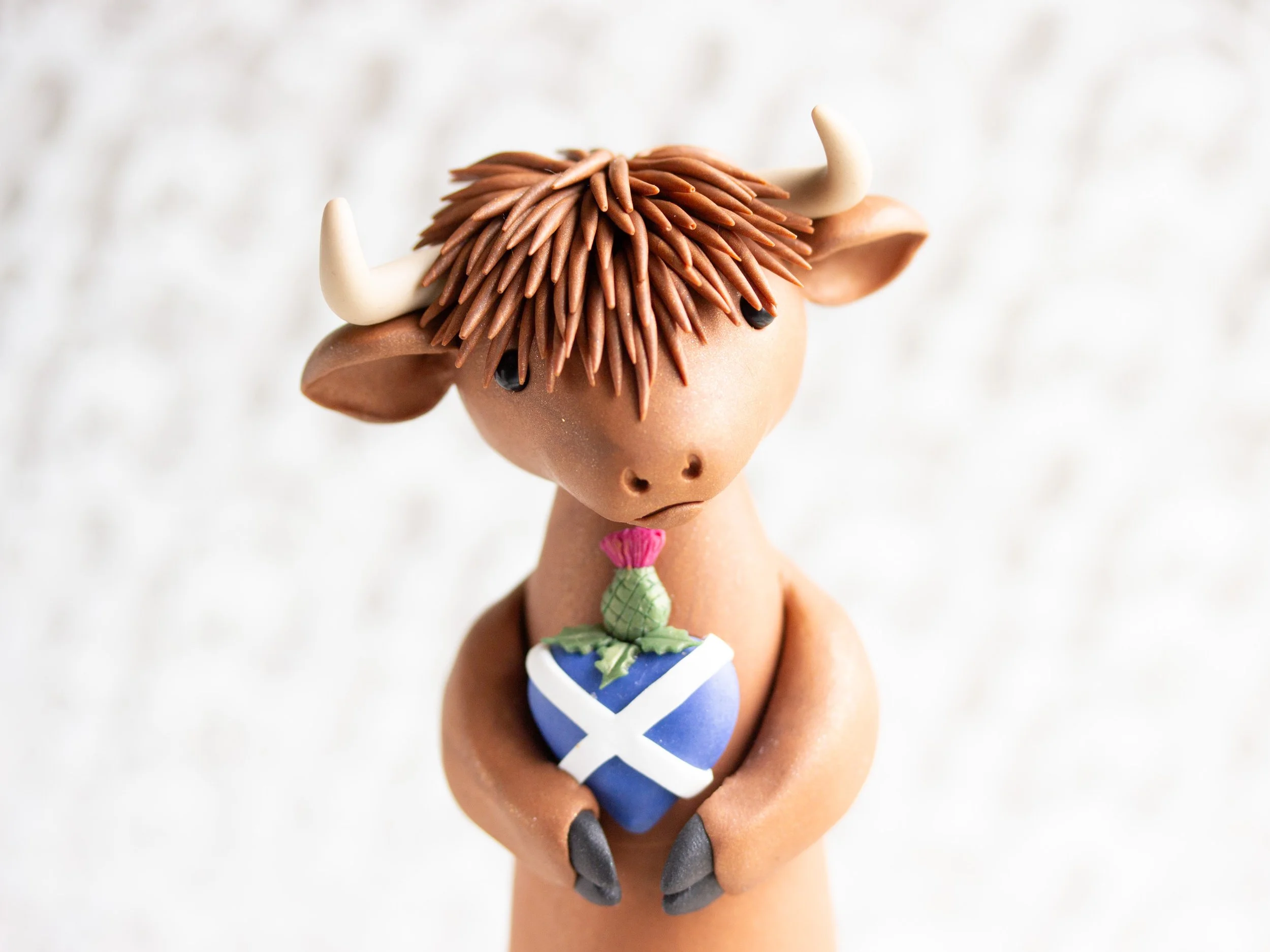 HighlandCows-9.jpg