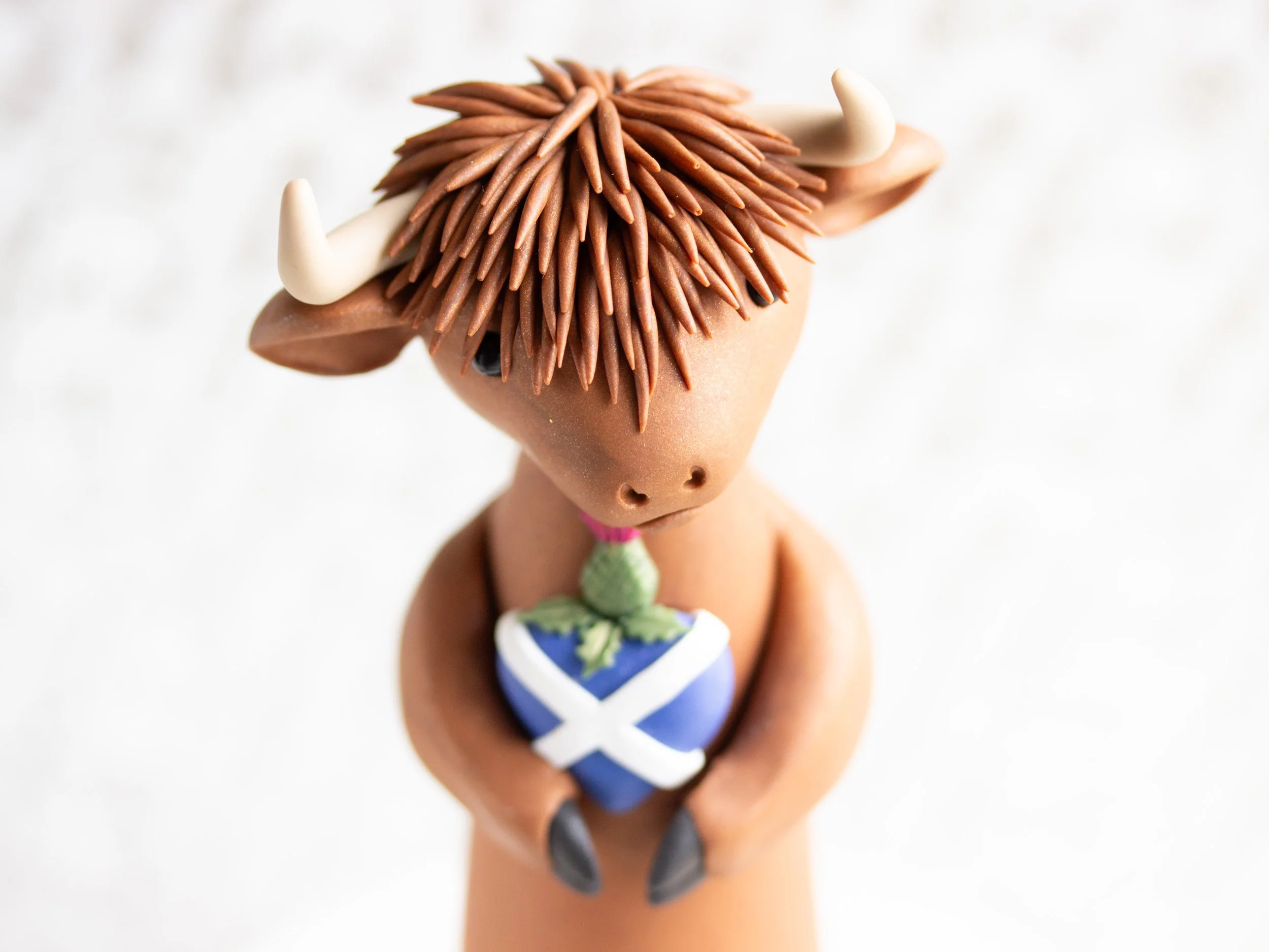 HighlandCows-7.jpg