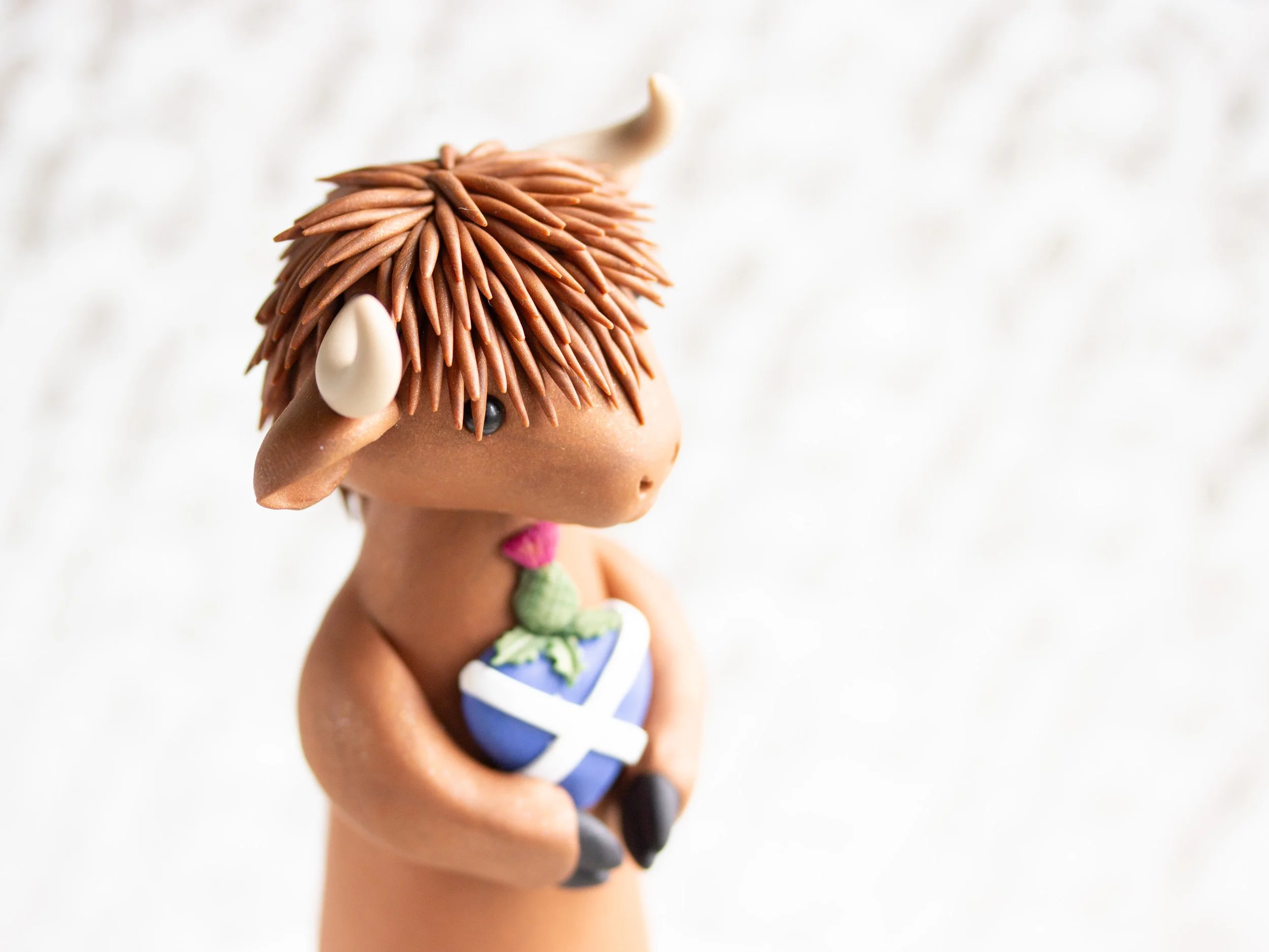 HighlandCows-5.jpg