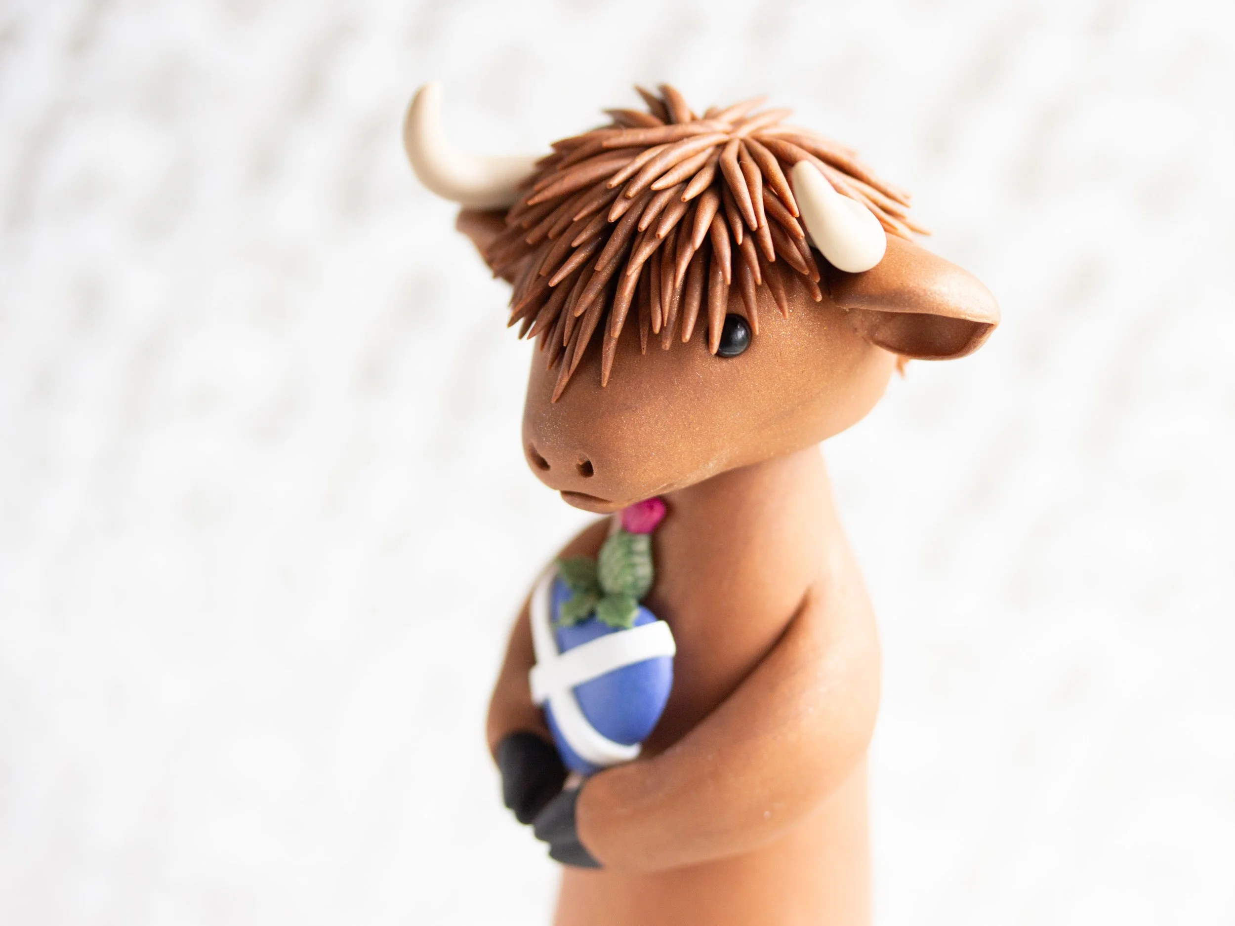 HighlandCows-4.jpg